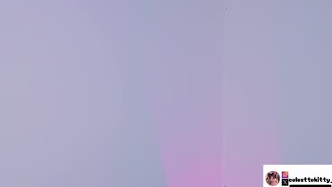 Snapshot of celestte_evans_1 chatting on December 14, 3:01 am celestte_evans_1 online show from December 14, 3:01 am