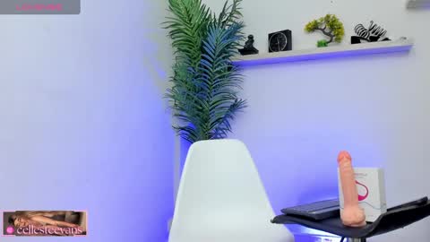 Celeste  online show from January 25, 9:04 pm