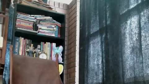 Snapshot of cguffey2284 chatting on February 18, 4:05 pm cguffey2284 online show from February 18, 4:05 pm