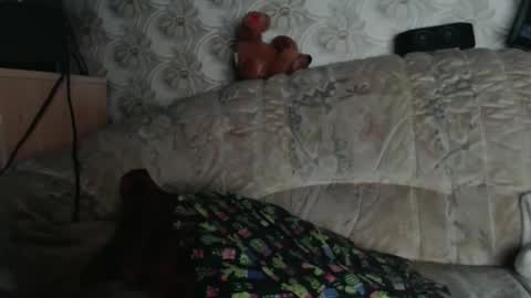 Snapshot of chacoa chatting on January 18, 12:09 pm chacoa online show from January 18, 12:09 pm