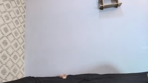 Snapshot of chantal_taylor_ chatting on March 10, 3:09 pm Raquel online show from March 10, 3:09 pm