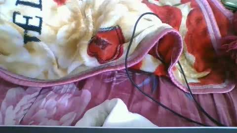 chantale483461 online show from May 10, 5:18 pm