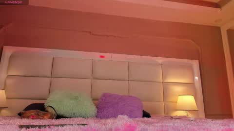    online show from November 12, 11:32 am