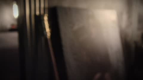 Charlotte online show from January 23, 2:17 pm