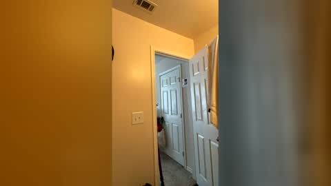 Chase2Attract online show from March 4, 6:03 pm