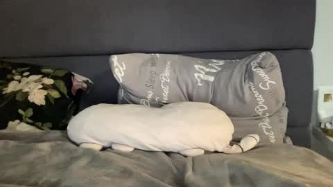 Snapshot of chase_vicky chatting on September 19, 7:36 pm Vicky online show from September 19, 7:36 pm