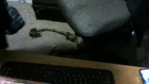 Snapshot of chefy999 chatting on November 10, 10:14 am chefy online show from November 10, 10:14 am