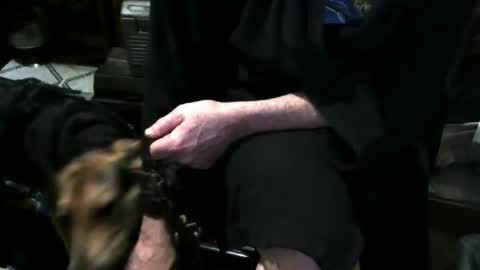 Snapshot of chefy999 chatting on December 3, 11:41 am chefy online show from December 3, 11:41 am