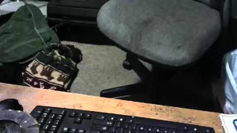 Snapshot of chefy999 chatting on December 18, 10:54 am chefy online show from December 18, 10:54 am