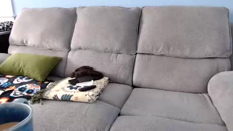 Chelsea online show from February 2, 4:49 pm