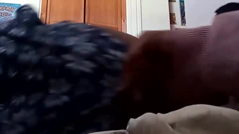 ChemicalX  online show from March 9, 8:13 pm