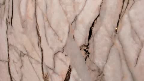 Snapshot of cherry__sweet_ chatting on November 22, 11:31 am Emma online show from November 22, 11:31 am