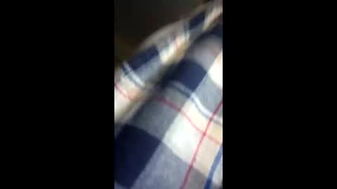 chi579822 online show from March 14, 4:29 am