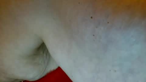 Snapshot of chicagobbw71 chatting on December 25, 12:58 pm Tee online show from December 25, 12:58 pm