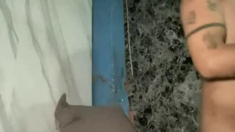 Addams online show from June 23, 8:01 am