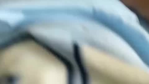 Snapshot of chico18cm5 chatting on January 31, 3:00 pm domenic online show from January 31, 3:00 pm