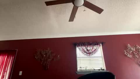 CHINO online show from February 17, 7:09 pm