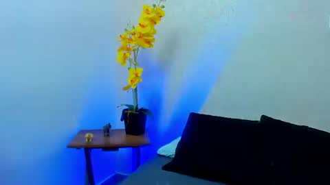 Snapshot of chloesmith9 chatting on August 5, 11:17 pm Chloe online show from August 5, 11:17 pm