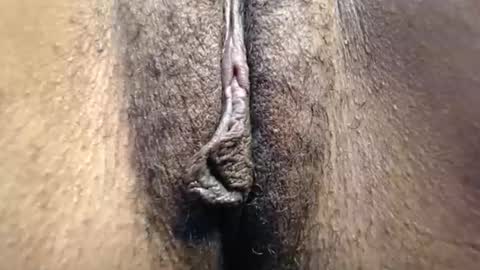 Cutie online show from May 3, 8:20 am