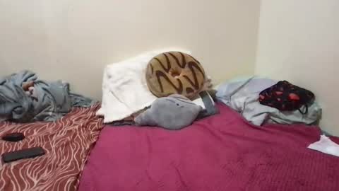 chris_jake1 online show from March 14, 11:04 am