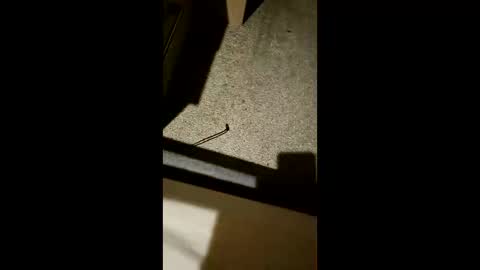 chrisgogo121 online show from November 17, 10:26 pm