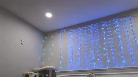 Snapshot of christy_love chatting on December 29, 1:24 am Christy Love online show from December 29, 1:24 am