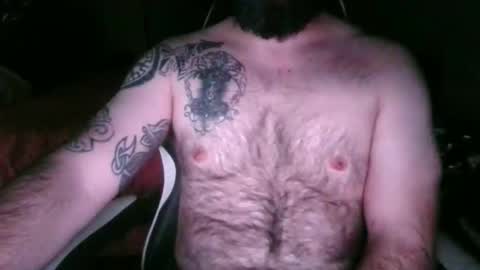 chub bear 99 online show from May 3, 11:00 pm