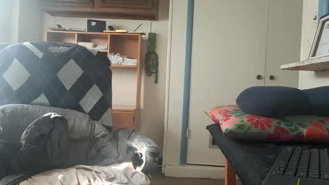 Snapshot of chuck7891 chatting on October 22, 2:50 pm chuck7891 online show from October 22, 2:50 pm