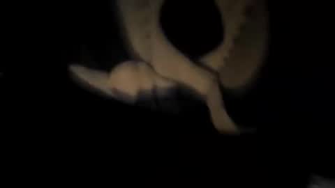 Snapshot of chuck7891 chatting on November 30, 12:47 am chuck7891 online show from November 30, 12:47 am