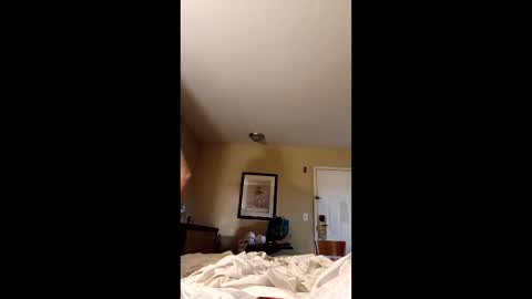 claytonbrannon3717547 online show from December 17, 11:05 am