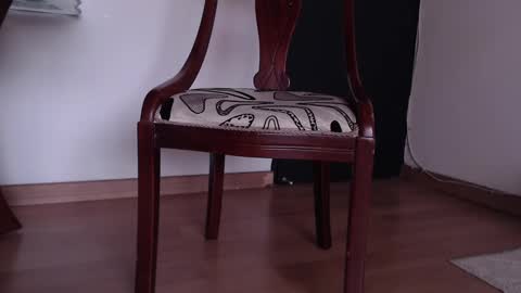 rocio online show from February 7, 5:29 pm