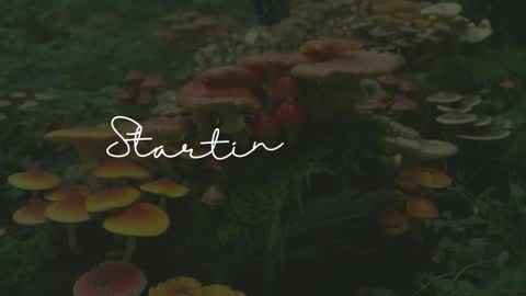 Sunnye Daze online show from March 24, 3:11 am