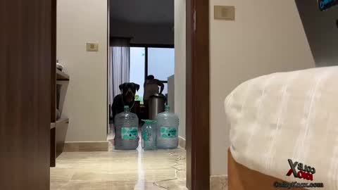 Snapshot of colbyknox chatting on September 20, 11:06 pm colbyknox online show from September 20, 11:06 pm