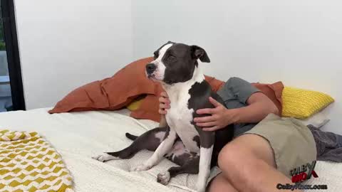 Snapshot of colbyknox chatting on November 4, 10:53 pm colbyknox online show from November 4, 10:53 pm