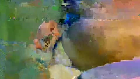 colourlight online show from November 9, 11:47 pm