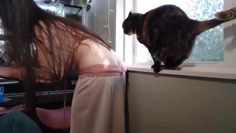 Snapshot of constantcumquest chatting on September 26, 8:24 pm ANR Mommy online show from September 26, 8:24 pm