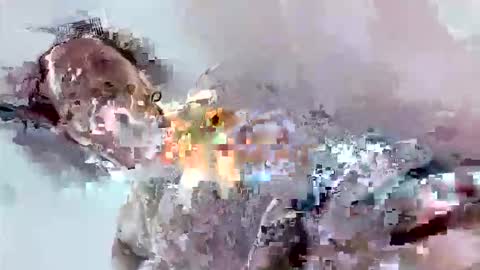 Mount N Drew online show from November 17, 7:08 pm