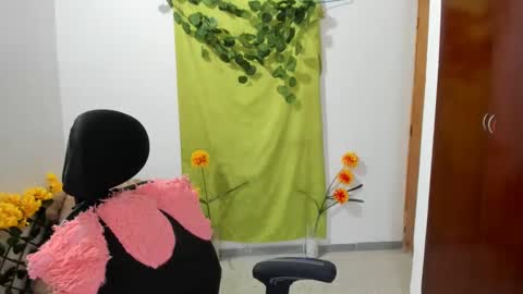 Ethan  online show from December 28, 4:30 pm