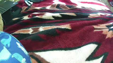 Snapshot of countryguy751601 chatting on March 21, 7:06 pm countryguy751601 online show from March 21, 7:06 pm