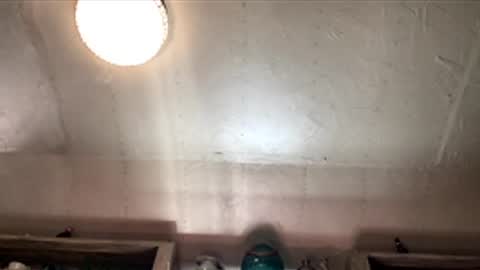 countryjoe2002 online show from December 18, 6:47 pm