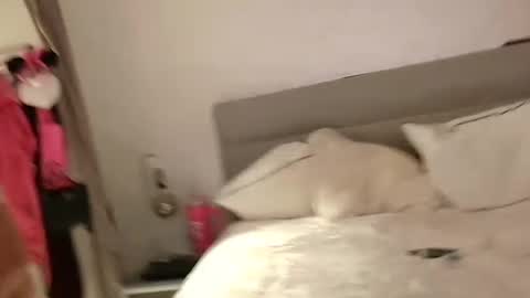 Snapshot of coupletoy97 chatting on February 13, 6:48 pm Sandra and Tom online show from February 13, 6:48 pm