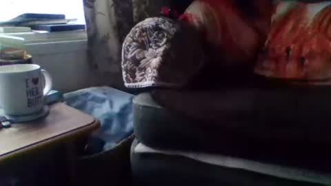 courieral1 online show from February 15, 8:00 am