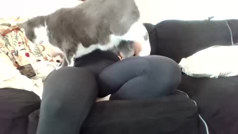 Snapshot of courtxoxo_o chatting on February 20, 9:31 pm courtxoxo_o online show from February 20, 9:31 pm