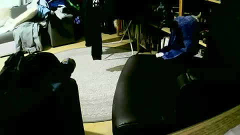 coyote017 online show from January 27, 6:09 am