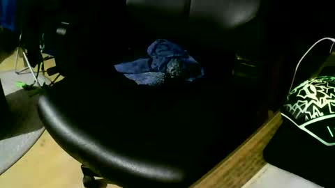 coyote017 online show from November 17, 9:31 pm