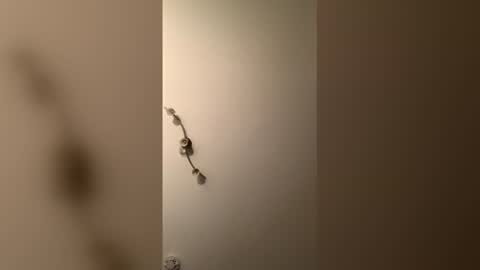 cp1a online show from December 18, 8:37 pm