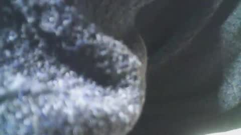 Snapshot of cplmature87 chatting on February 20, 11:10 pm cplmature87 online show from February 20, 11:10 pm