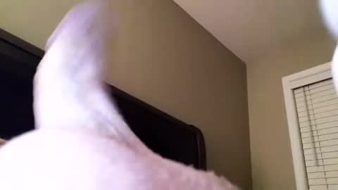 Cranada777 online show from December 31, 1:04 am