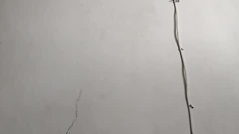 CreamyCocoBabe online show from April 29, 8:04 pm