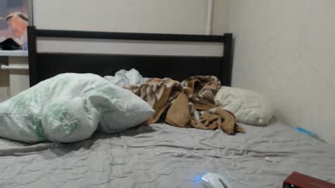 Snapshot of cris_peace chatting on January 19, 1:09 am JOIN IN A FAN CLUB AND YOU WILL HAVE 90 OF MY PHOTOVIDEO FREE FANSLY - online show from January 19, 1:09 am